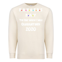 Sandshell Father s Day The One Where I Was Quarantined 2020 Premium Sweatshirt - Bettercallsaul
