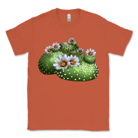 Copper blossfeldia cactus Classic Tee - LillyAllenDesigns