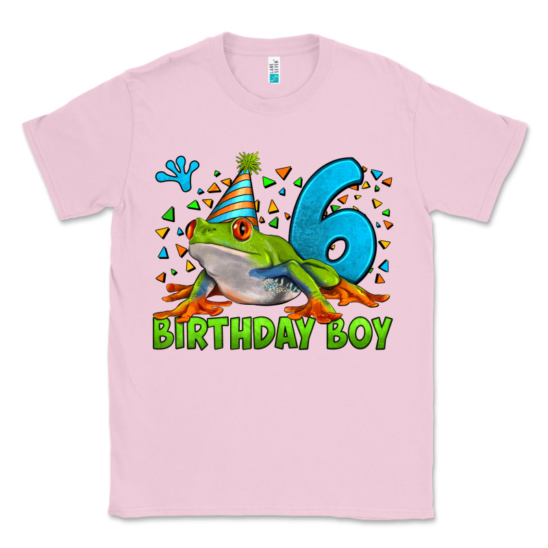 Birthday Boy Frog Age 6 Classic Tee by LillyAllenDesigns | Teevron