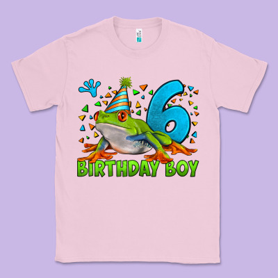 Birthday Boy Frog Age 6 Classic Tee Designed By Lillyallendesigns