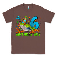 Chestnut birthday boy frog age 6 Classic Tee - LillyAllenDesigns