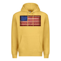 Antique Gold American flag Premium Hoodie - JahusDesignShop