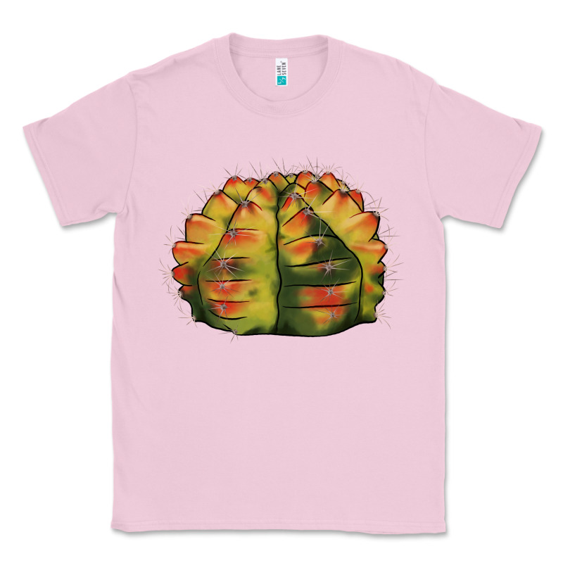 Gymnocalycium Variegated Cactus Classic Tee by LillyAllenDesigns | Teevron