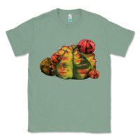 Sage Gymnocalycium Variegated Cactus Classic Tee - LillyAllenDesigns