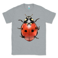 Heather Grey lady bug Classic Tee - LillyAllenDesigns