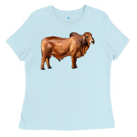 Baby Blue brahman bull Ladies Tee - RanaPortraitStore