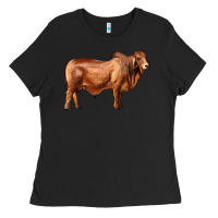 Black brahman bull Ladies Tee - RanaPortraitStore