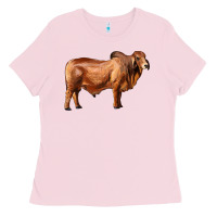 Bubblegum Pink brahman bull Ladies Tee - RanaPortraitStore