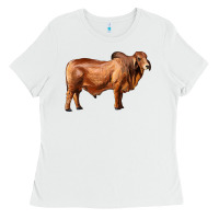 White brahman bull Ladies Tee - RanaPortraitStore
