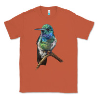 Copper Ruby Throcuted Hummingbird Classic Tee - LillyAllenDesigns