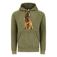 Vintage Olive belgian shepherd tervuren Vintage Hoodie - Artiststas