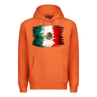 Carrot Mexican flag Premium Hoodie - NancyCooperArtShop