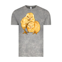 Cloud Rock chicks Vintage Tee - Artiststas