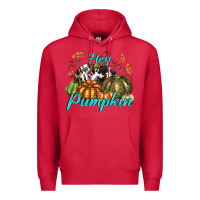 Cardinal Hey Pumpkin Premium Hoodie - texasbilliewilder