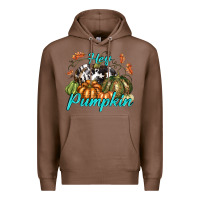 Chestnut Hey Pumpkin Premium Hoodie - texasbilliewilder