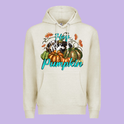 Hey Pumpkin Premium Hoodie Designed By Texasbilliewilder