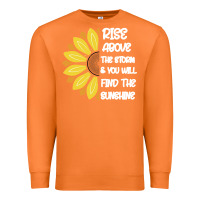 Carrot Rise Above The Storm You Will F and The Sunshine Premium Sweatshirt - Bettercallsaul