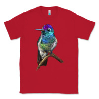 Red Rivoli`s Hummingbird Classic Tee - LillyAllenDesigns
