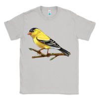 Moon Dust American Goldfinch Classic Tee - LillyAllenDesigns