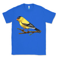 True Royal American Goldfinch Classic Tee - LillyAllenDesigns