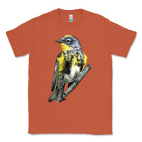 Copper yellow rumped warbler Classic Tee - LillyAllenDesigns