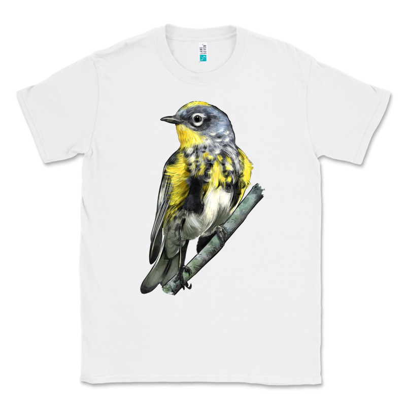 Yellow Rumped Warbler Classic Tee by LillyAllenDesigns | Teevron