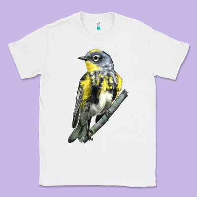 Yellow Rumped Warbler Classic Tee Designed By Lillyallendesigns
