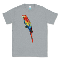 Heather Grey Scarlet Macaw Parrot Classic Tee - LillyAllenDesigns