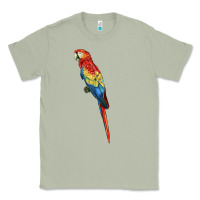 Matcha Scarlet Macaw Parrot Classic Tee - LillyAllenDesigns