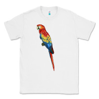 White Scarlet Macaw Parrot Classic Tee - LillyAllenDesigns