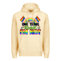 Pina Colada Let's get one thing straight i'm not Pride LGBTQ+ Premium Hoodie - NancyCooperArtShop
