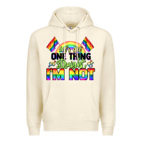 Sandshell Let's get one thing straight i'm not Pride LGBTQ+ Premium Hoodie - NancyCooperArtShop