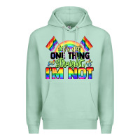 Seafoam Let's get one thing straight i'm not Pride LGBTQ+ Premium Hoodie - NancyCooperArtShop