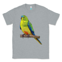 Heather Grey Neophema Parrot Classic Tee - LillyAllenDesigns