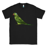 Black Ring Necked Parakeet Classic Tee - LillyAllenDesigns