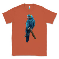 Copper Hyacinth Macaw Classic Tee - LillyAllenDesigns