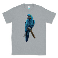 Heather Grey Hyacinth Macaw Classic Tee - LillyAllenDesigns