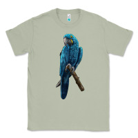 Matcha Hyacinth Macaw Classic Tee - LillyAllenDesigns