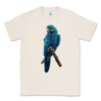 Natural Hyacinth Macaw Classic Tee - LillyAllenDesigns