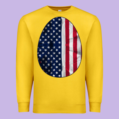 American Flag Premium Sweatshirt Designed By Bettercallsaul