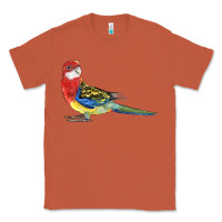 Copper Rosella Bird Classic Tee - LillyAllenDesigns