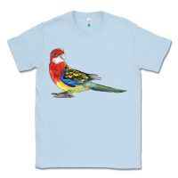Dusty Blue Rosella Bird Classic Tee - LillyAllenDesigns