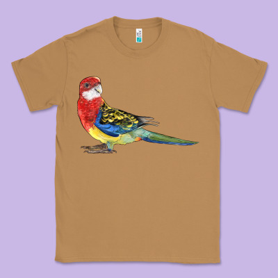 Rosella Bird Classic Tee Designed By Lillyallendesigns