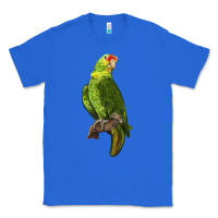 True Royal New Zealand Paraket Parrot Classic Tee - LillyAllenDesigns