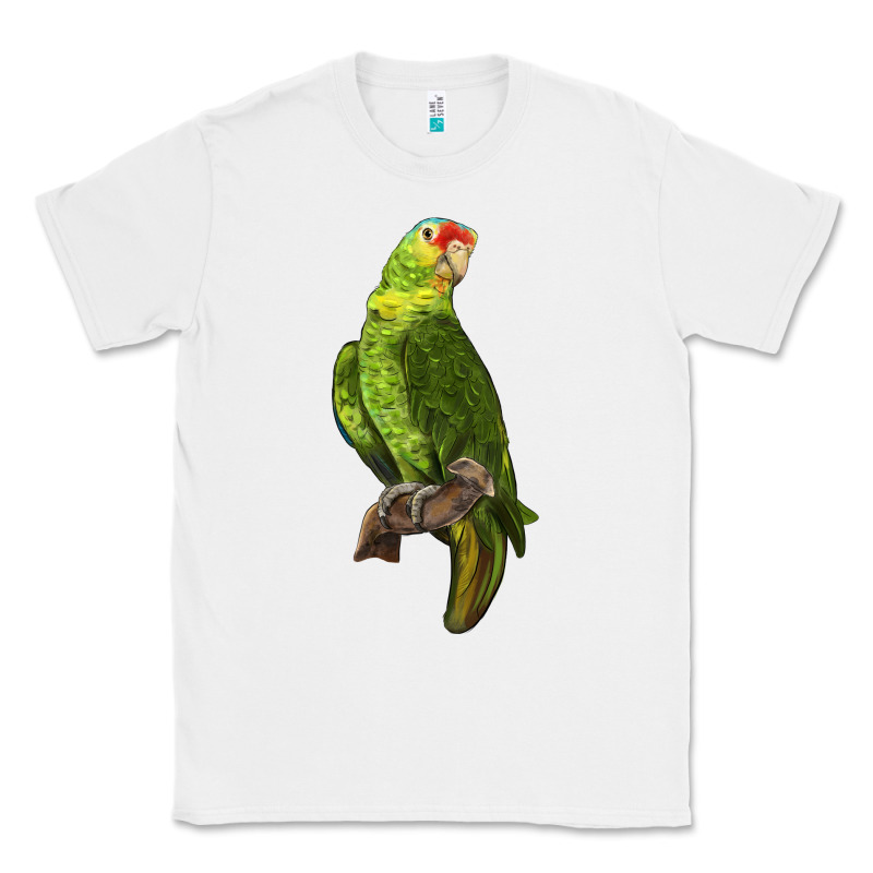 New Zealand Paraket Parrot Classic Tee by LillyAllenDesigns | Teevron
