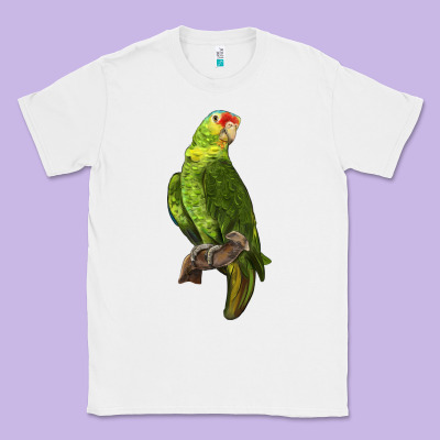 New Zealand Paraket Parrot Classic Tee Designed By Lillyallendesigns