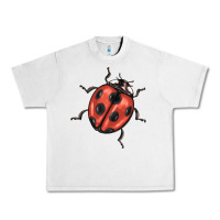 Lunar Rock ladybug Urban Heavy Tee - BarkalooDesign