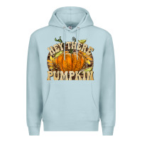 Blue Mist Hey There Pumpkin Premium Hoodie - texasbilliewilder