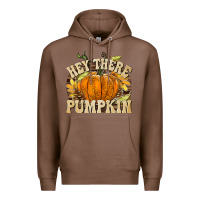 Chestnut Hey There Pumpkin Premium Hoodie - texasbilliewilder