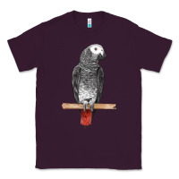 African Gray Parrot Bird Classic Tee | Teevron